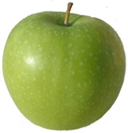 Lei-Appel (Malus Domestica 'Granny Smith') 6 Lei-Appel (Malus Domestica 'Granny Smith') - Afbeelding 4