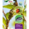Lieveheersbeestjes Larven Tegen Bladluizen (DCM Adali-Guard®) -PlantenPracht Winkel 5413448123852