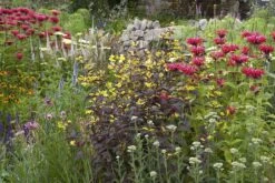 Borderpakket Rood En Geel (3 M²)