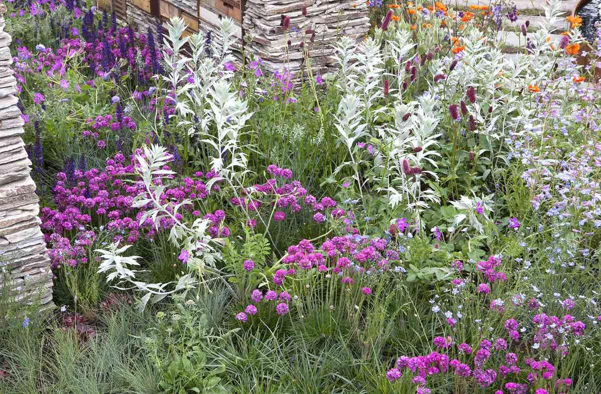 Borderpakket Roze, Paars En Grijsgroen (2 M²) 3 Borderpakket Roze, Paars En Grijsgroen (2 M²)