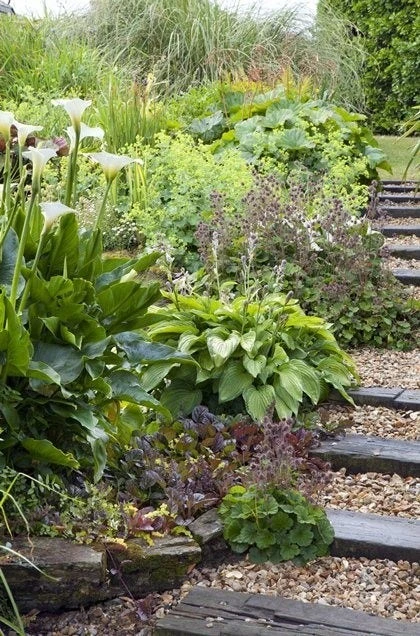 Borderpakket Natte Border 3 Borderpakket Natte Border