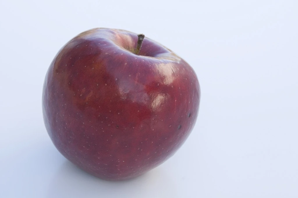 Appelboom (Malus Domestica 'Braeburn') 3 Appelboom (Malus Domestica 'Braeburn')