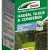 DCM Meststof Hagen,Taxus & Coniferen -PlantenPracht Winkel meststof hagen taxus coniferen 1 5 kg