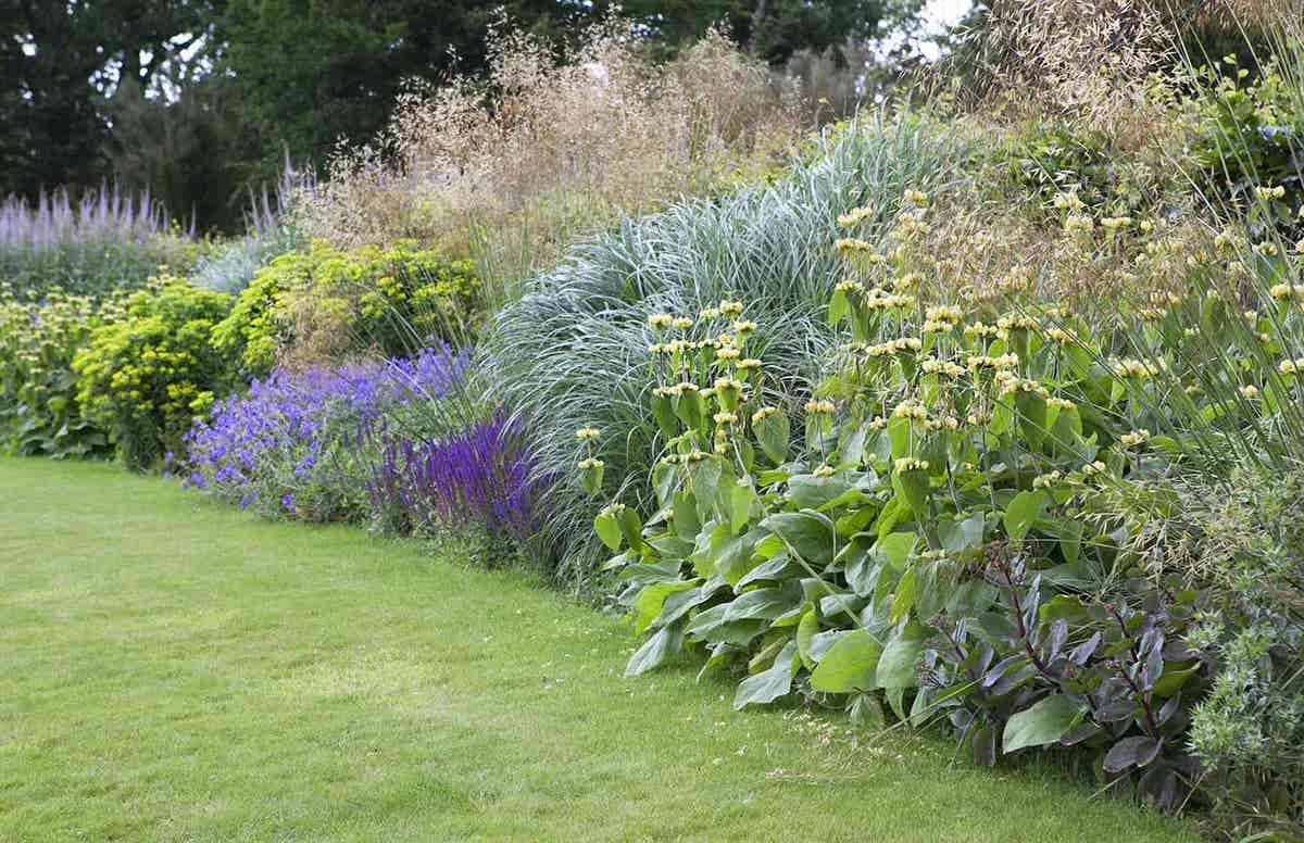 Borderpakket Onderhoudsvriendelijk (3 M²) 3 Borderpakket Onderhoudsvriendelijk (3 M²)
