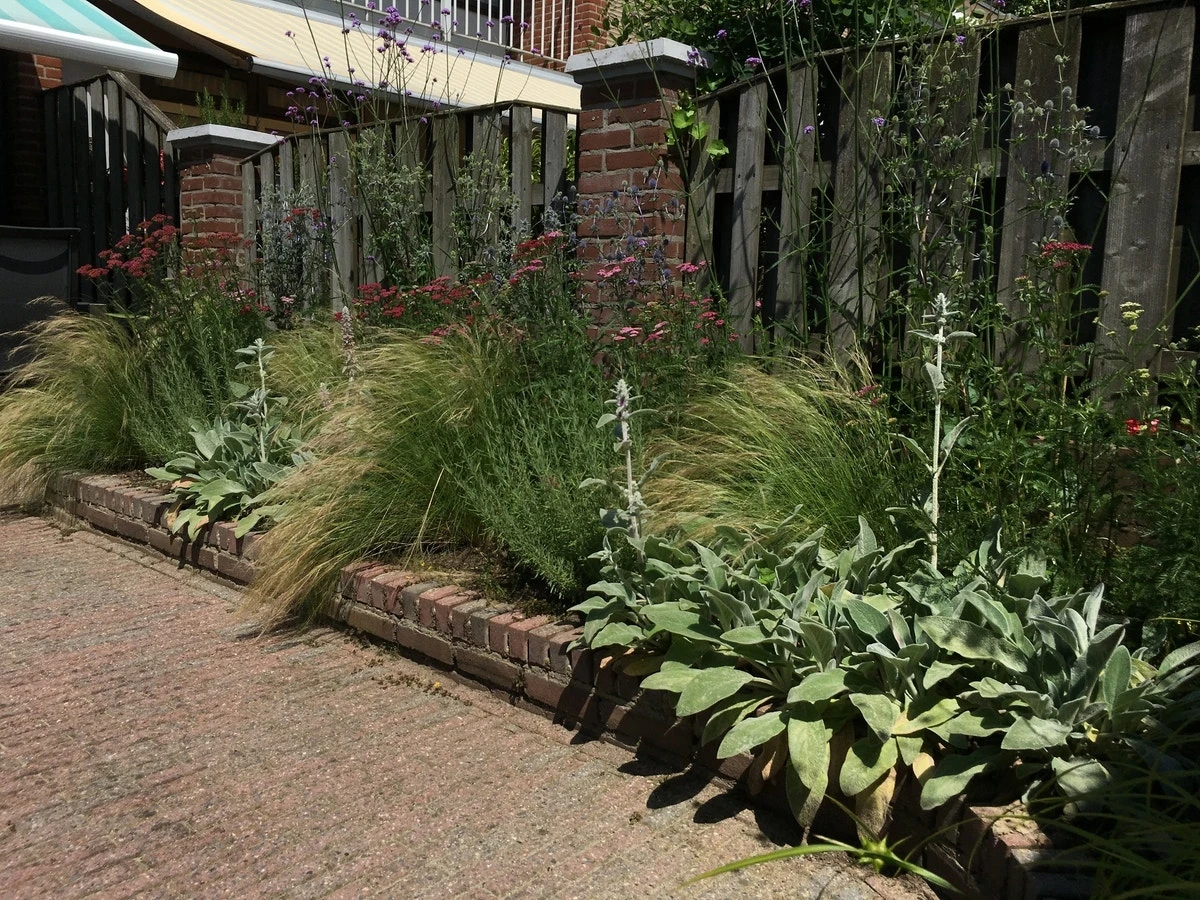 Borderpakket Roze En Blauw 4 Borderpakket Roze En Blauw - Afbeelding 2